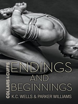 cover image of Endings and Beginnings